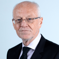 Peter J Goadsby